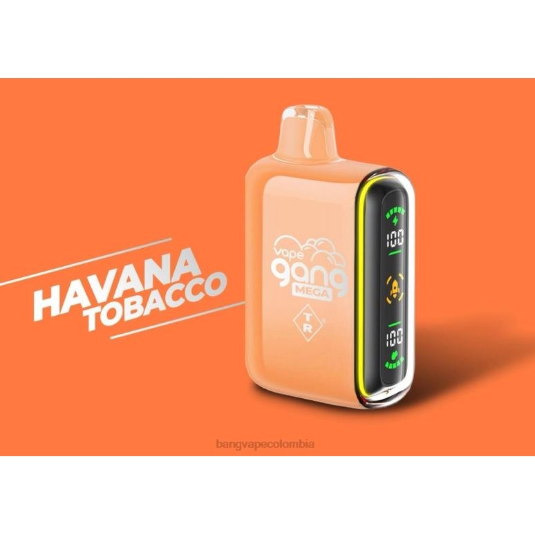 Vape Gang MEGA Vape desechable de 20.000 inhalaciones (caja de 5) tabaco habano 6Z0TJ55 - Bang Vape Colombia