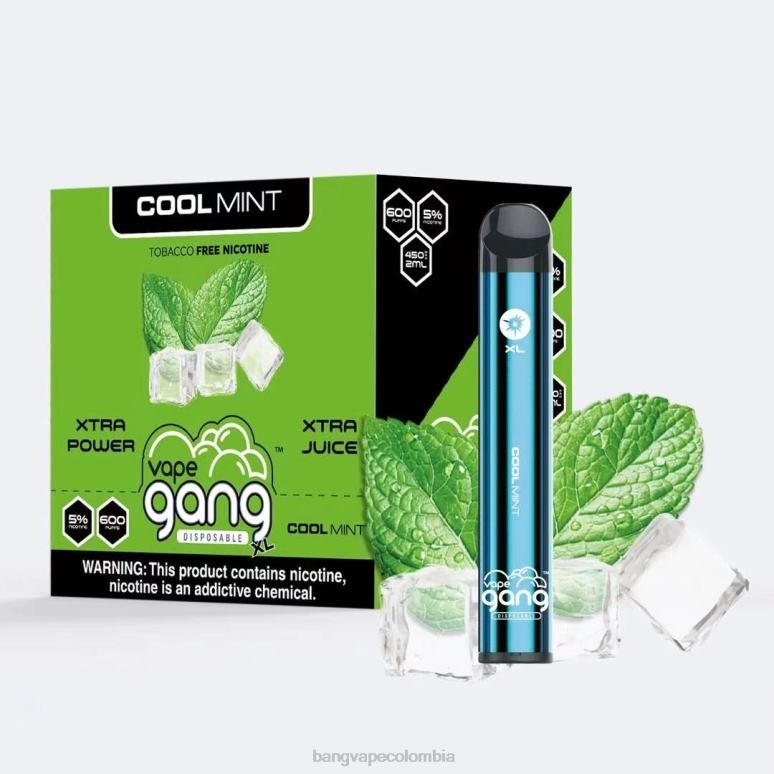 Vape Gang XL vaporizadores desechables 600 inhalaciones (caja de 10) menta fresca 6Z0TJ79 - Vape Gang Disposables